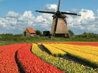 Heerlijk Holland personeelsfeest Haarlem met 3-gangen diner